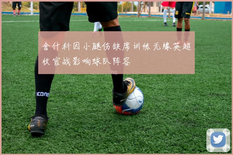 舍什科因小腿伤缺席训练无缘英超收官战影响球队阵容
