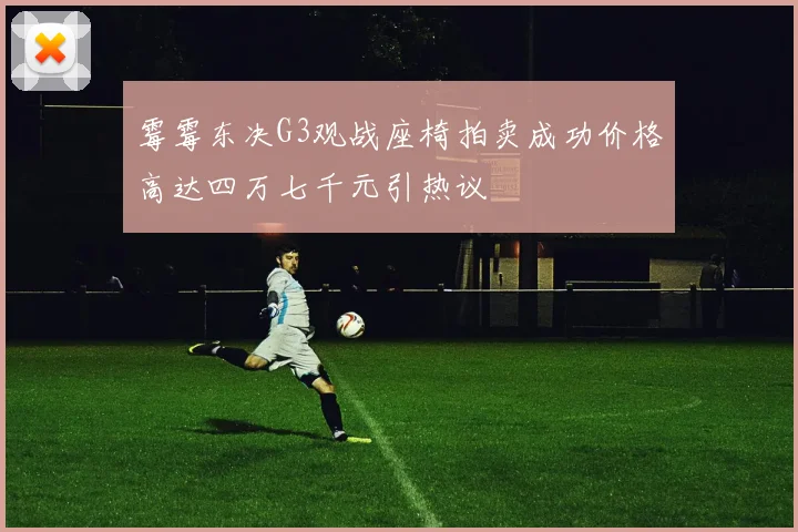 霉霉东决G3观战座椅拍卖成功价格高达四万七千元引热议