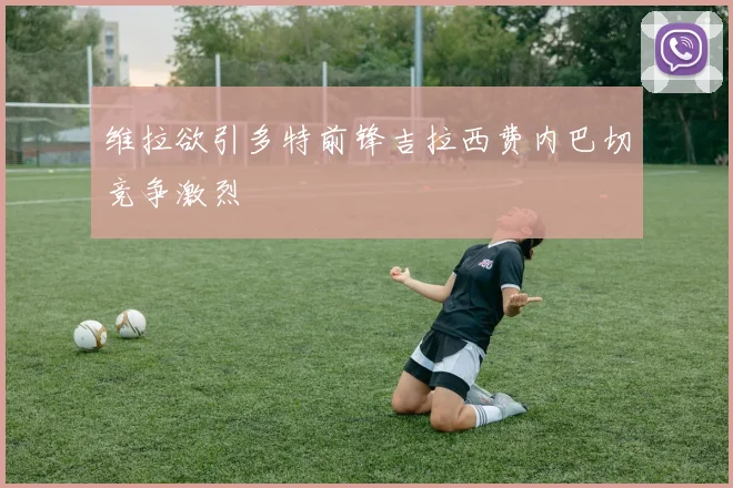 维拉欲引多特前锋吉拉西费内巴切竞争激烈